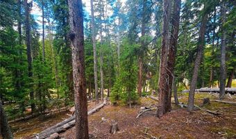 1013 RANGE Rd, Breckenridge, CO 80424