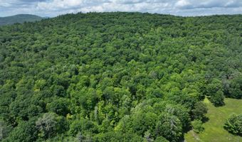 Denio Road, Barnet, VT 05821