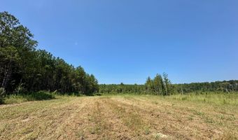 Ms-25, Brandon, MS 39047