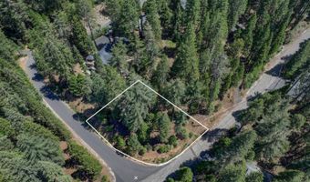 1934 Almaden Dr, Arnold, CA 95223