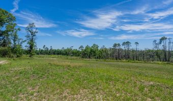 Chad Lake Rd, Alma, GA 31510