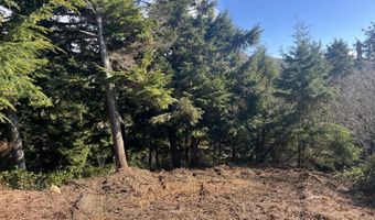 Lot 57 Pacific View Drive TL3700, Rockaway Beach, OR 97136