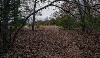Tract 1 Acme Rd, Asher, OK 74826