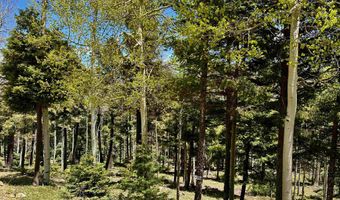 Lot 75 Via de Maria, Angel Fire, NM 87710