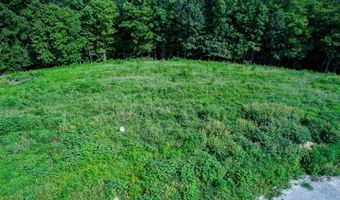 Lot 45 H O Allison Rd, Baxter, TN 38544