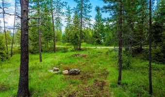 Nna Smoke Tree Ave, Athol, ID 83801