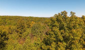 County Road 204, Alton, MO 65606