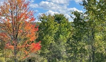 8302 Basswood Hill Rd, Alden, NY 14709