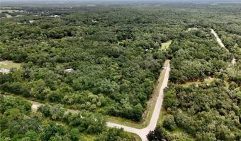 2963 SW Armadillo Trl, Arcadia, FL 34266