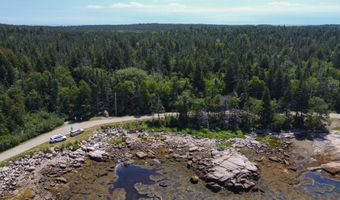 Lot 9-1 Black Duck Cove Road, Beals, ME 04611