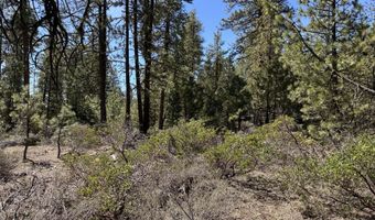 Horned Owl Way 385461, Bonanza, OR 97623