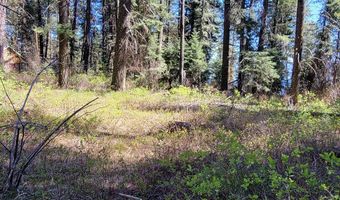 22 Melody Ln Lot 10, Cascade, ID 83611