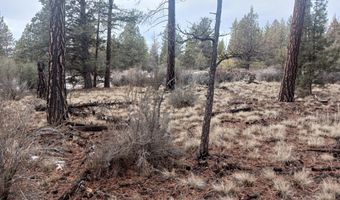 Lot 11 Block 51 Moccasin Lane, Chiloquin, OR 97624