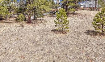 336 May Queen Dr, Cripple Creek, CO 80813