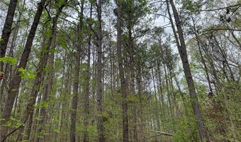 81 N Hwy, Calhoun Falls, SC 29628