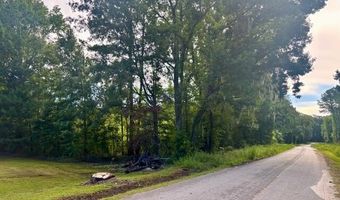 8946 Anderson Rd, Adams Run, SC 29426