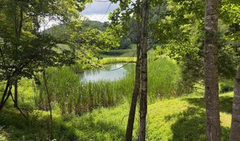 572 Dameron Rd, Ballard, WV 24918