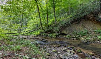 23 59 Ac Chestnut Flats Rd, Andrews, NC 28901