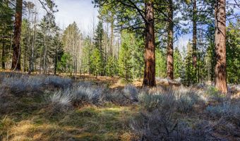 240 Forest Hill Way, Gardnerville, NV 89460