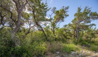 N McCampbell Street, Aransas Pass, TX 78336