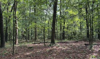 26 33 ACRES HICKORY CORNER Rd, Augusta, WV 26704
