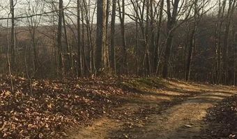 3129 Straight Frk, Alkol, WV 25501