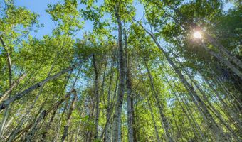 Nna Log Cabin Rd, Bonners Ferry, ID 83805