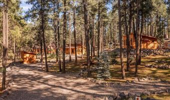 24 County Rd 2267, Alpine, AZ 85920
