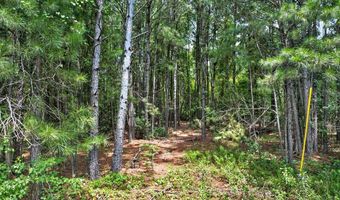 Farmingdon Drive, Adel, GA 31620