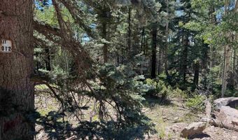 Lot 1012 El Camino Real, Angel Fire, NM 87710