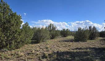280 A Tanner Rd, Ash Fork, AZ 86320