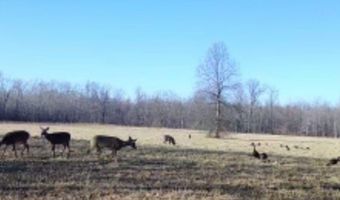6019 New London Rd, Ashtabula, OH 44004