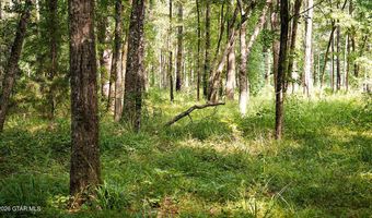 Cypress Pointe Drive lot 17, Brooksville, MS 39739