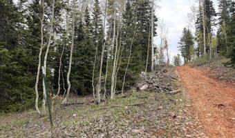 646 W Ski View Dr, Brian Head, UT 84719