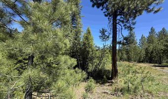Saddle Rock Dr, Cascade, ID 83611