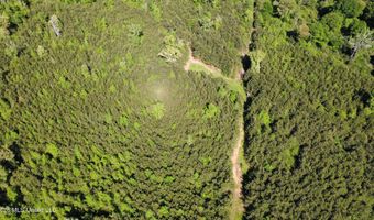 SW Auburn Drive, Bogue Chitto, MS 39629