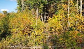 91 Greenleaf Brook Rd, Amity, ME 04730