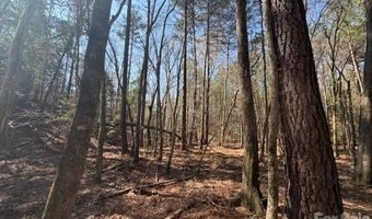12 68 Acre 99 Rd, Blair, SC 29015