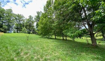 48 Sweet Fern Pkwy 59, Asheville, NC 28804