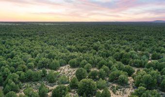S Carson Road 39 Acres, Carson, NM 87517