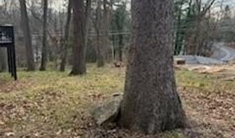 99999 Dalton St, Asheville, NC 28803