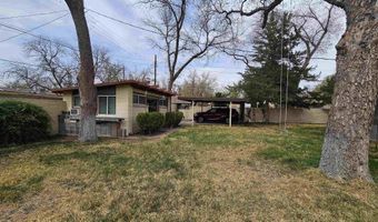 1131 Tracy Pl, Carlsbad, NM 88220