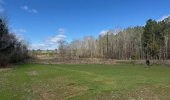 1111 Mount Olive Rd SE, Bogue Chitto, MS 39629