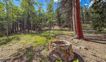 416 Highway 7 Business, Allenspark, CO 80510