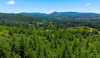 225 HAM Rd, Amboy, WA 98601