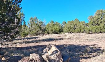 22 N 8171, Concho, AZ 85924