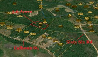 Calhoun Street, Branchville, SC 29432