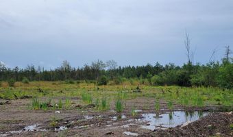 V/L 40AC Hamilton Road, Alpena, MI 49707