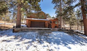 719 Fox Hill Ct, Woodland Park, CO 80863