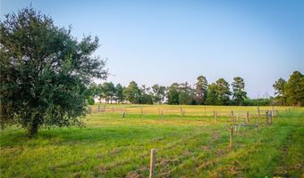 1031 Angel Lake Estates Rd, Alleyton, TX 78935